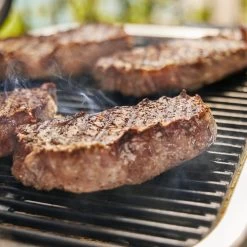 Lumin-elektrische Barbecue Met Onderstel -Keukengrillproducten 92010901FB3 1800x1800 3